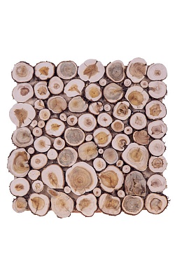 ����� �� ������������� (300�� � 500��)