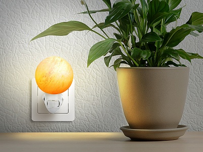 ������ ���